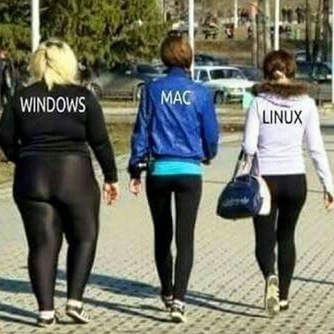 20211123015401554657800
