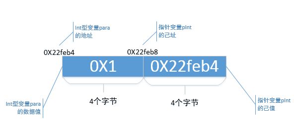 20211123024043449524503