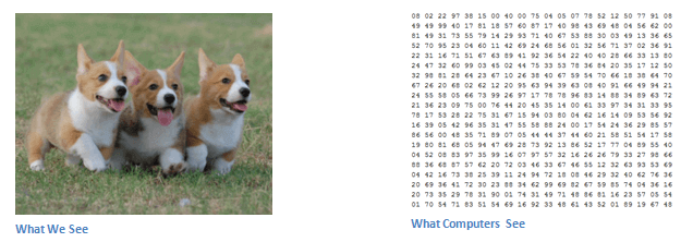 20211202102315130871603
