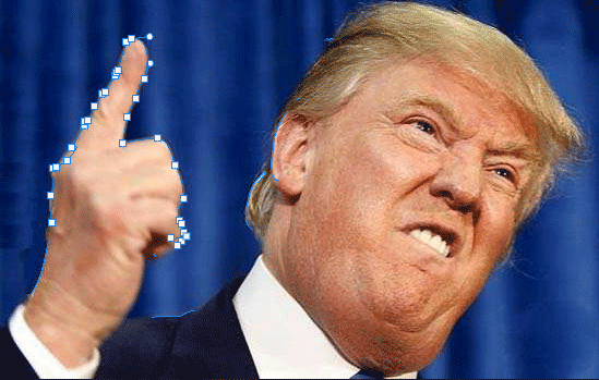 202202111135290284050013