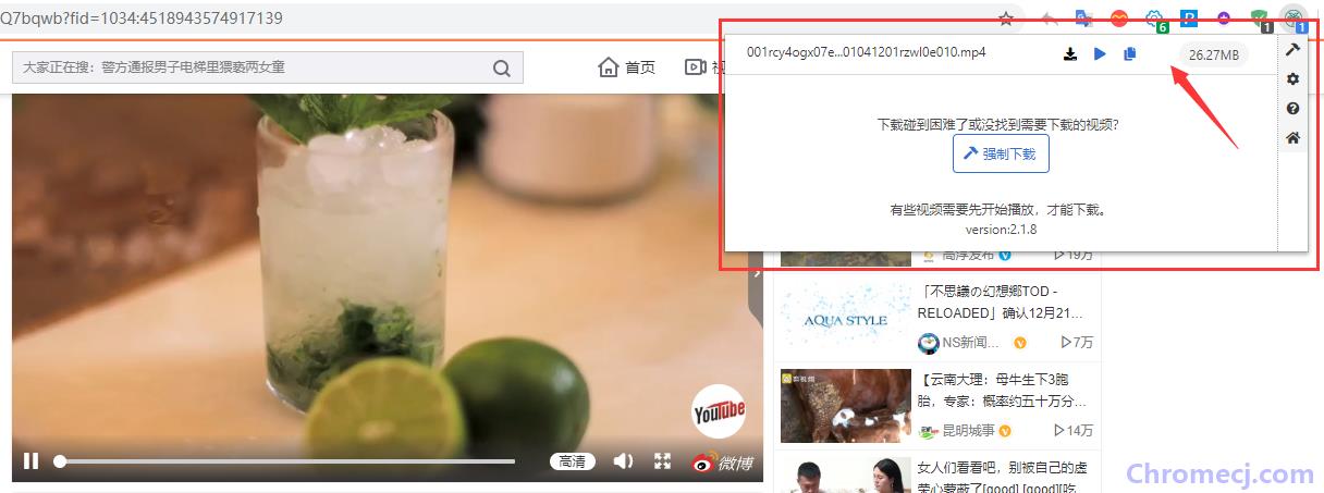 CocoCut插件安装应用