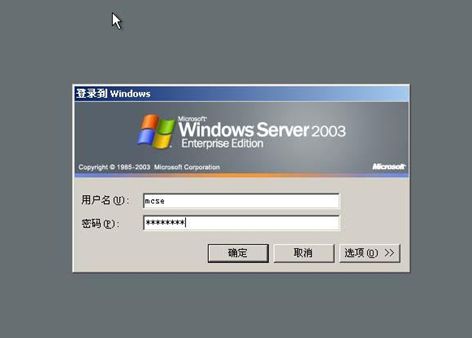 202202191040185300480003