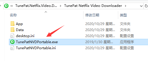 Netflix视频下载器